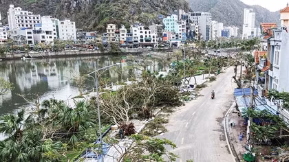 Đảo ngọc Cát Bà tan hoang sau bão