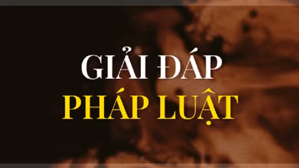 Nạn nhân mua bán người được đề xuất các quyền và nghĩa vụ nào?