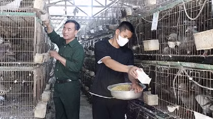 Tiếp sức cho hộ nghèo vượt khó