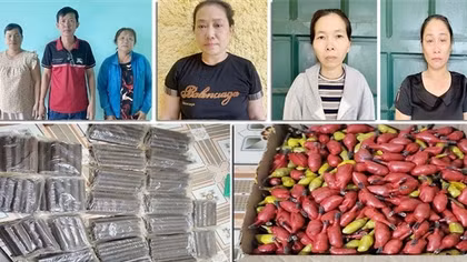 Triệt phá đường dây mua bán vật liệu nổ từ Tây Nguyên về Thanh Hóa tiêu thụ