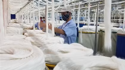 Thừa Thiên Huế thưởng Tết Nguyên đán Ất Tỵ cao nhất hơn 300 triệu đồng