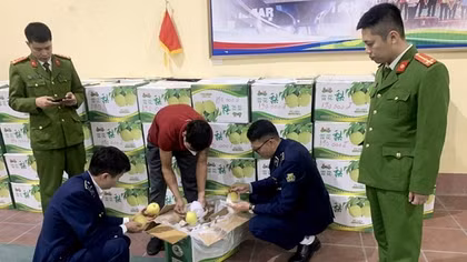 Nhập nhằng hoa quả “sạch”