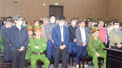 Sự ân hận muộn màng