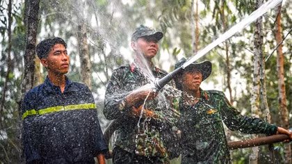 Cháy 400 ha rừng tràm sản xuất tại Kiên Giang