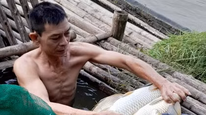 Hơn 2 tấn cá chết bất thường trên sông Mã