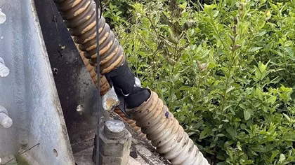 Cắt trộm dây điện, bị điện giật bất tỉnh