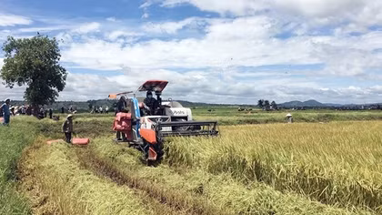 Phát triển kinh tế gắn với bảo đảm an ninh buôn làng (Kỳ cuối)