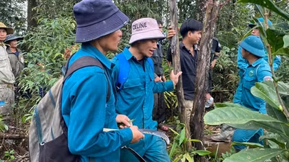 Hơn 100 người tìm kiếm người phụ nữ câm điếc bị lạc trong rừng