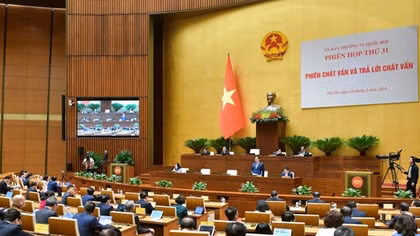 Nóng chuyện du học sinh không về nước, lừa đảo "việc nhẹ lương cao"