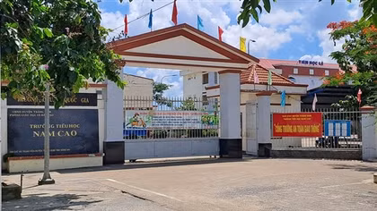 Hiệu trưởng Trường tiểu học Nam Cao chi sai hàng trăm triệu đồng