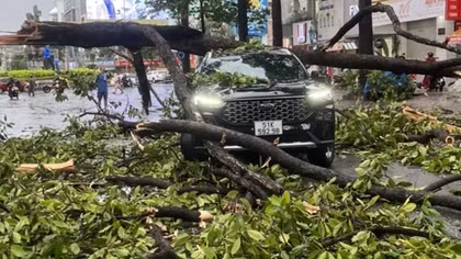 TP Hồ Chí Minh: Hàng loạt sự cố xảy ra trong cơn mưa lớn, gió mạnh