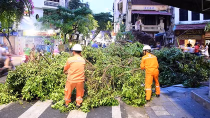 EVNHANOI chủ động triển khai các biện pháp ứng phó với bão số 3