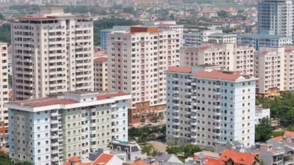 Xử lý hơn 8,8 nghìn hồ sơ về đất đai đang tồn đọng ở cơ quan thuế TP Hồ Chí Minh