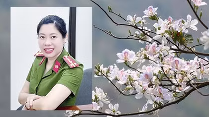Bông hoa trên giảng đường
