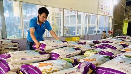 Miền Tây tất bật chuẩn bị hàng hoá Tết