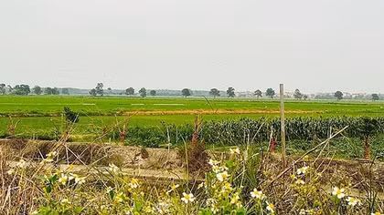 Bắc Ninh: Thanh tra Bộ Xây dựng yêu cầu giải trình những bất thường trong quy hoạch Cụm công nghiệp Lâm Bình