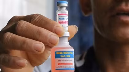 Yêu cầu làm rõ quy trình đấu thầu loại vaccine khiến bò chết hàng loạt
