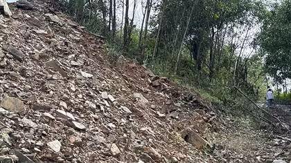 Lộ dấu hiệu buông lỏng quản lý và thiếu trách nhiệm từ vụ múc trộm đất trồng rừng tại Đà Nẵng