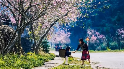 Miền Bắc mùng 2 Tết nắng ấm, Trung Bộ mưa nhiều nơi