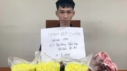 Bị bắt khi đang vận chuyển 15.000 viên ma túy từ TP Hồ Chí Minh ra Hà Nội