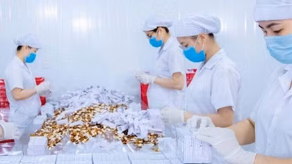 Doanh nghiệp sôi nổi ra quân sản xuất đầu năm