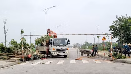 Hà Tĩnh chậm báo cáo về các dự án trồng cây xanh của Công ty Công Minh