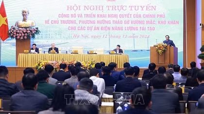 Thủ tướng yêu cầu hoàn thành tháo gỡ khó khăn cho dự án điện năng lượng tái tạo trong tháng 1/2025