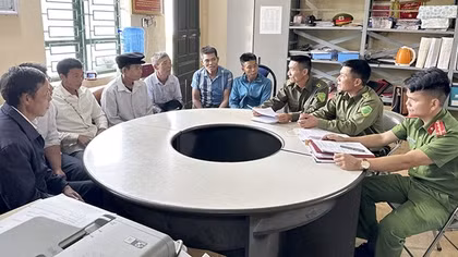 Như hoa hướng dương