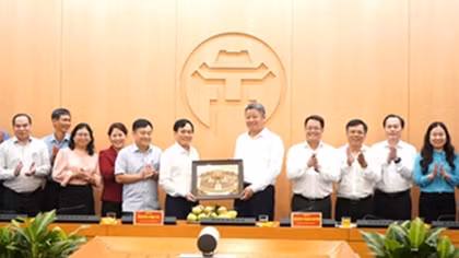 Hà Nội và Cần Thơ chia sẻ kinh nghiệm trong triển khai thực hiện Đề án 06/CP