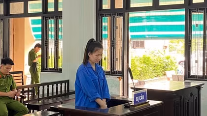 9 năm tù dành cho chủ sạp trái cây từng lừa chiếm hơn 3,2 tỷ đồng