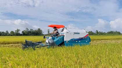 Hướng tới nền nông nghiệp phát thải thấp