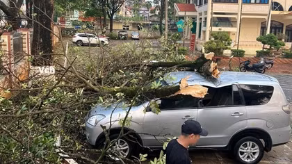 Sơn La: Mưa lớn kèm giông lốc gây nhiều thiệt hại
