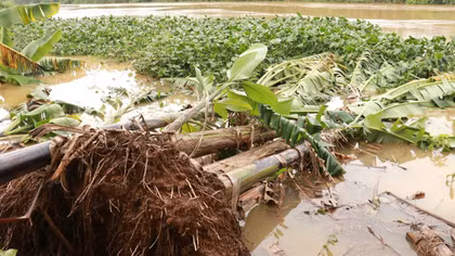 Tìm giải pháp khắc phục sạt lở bờ sông Vĩnh Định mà Báo CAND đã phản ánh