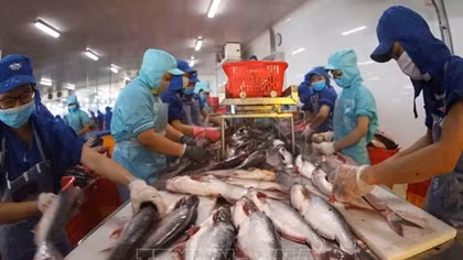 Vasep kiến nghị gỡ vướng cho doanh nghiệp thủy sản