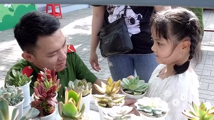 Nhiều ý nghĩa với hoạt động đổi sách cũ nhận cây xanh