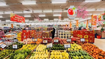 Rau quả Việt Nam đã có chỗ đứng trên thị trường quốc tế