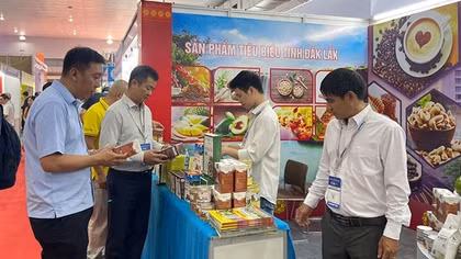 Làm gì để tạo tăng trưởng bền vững cho thương mại điện tử?