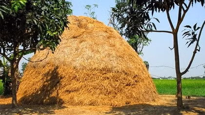 “Đứa... đốt rơm” là “đứa” nào?