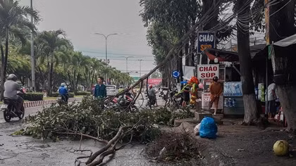 Giông lốc làm ngã, gãy nhiều cây xanh trên Quốc lộ 57
