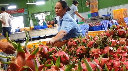 Những điều doanh nghiệp cần lưu ý khi xuất khẩu hàng sang UAE