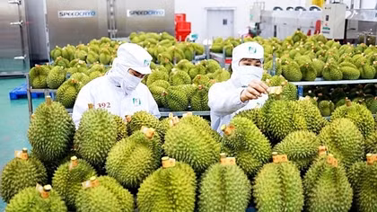 Thương mại Việt Nam – Trung Quốc đạt gần 90 tỷ USD