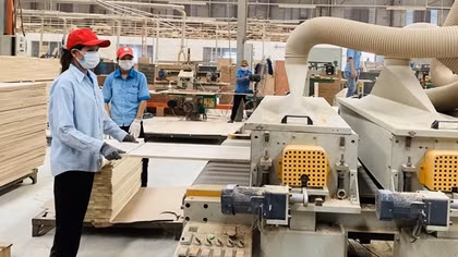 Hỗ trợ doanh nghiệp và người lao động ổn định sản xuất, bảo đảm việc làm