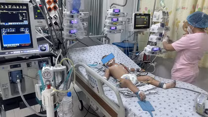 TP Hồ Chí Minh: Ba kịch bản ứng phó với dịch bệnh tay chân miệng đang gia tăng