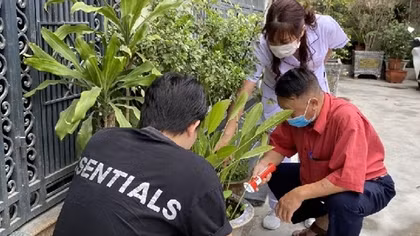 Dịch sốt xuất huyết ở Hà Nội đang hạ nhiệt