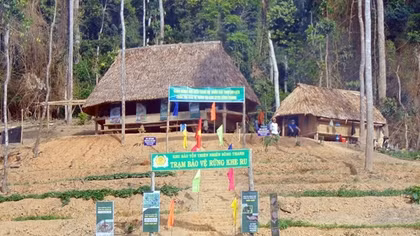 Vi phạm hồ sơ dự thầu, một doanh nghiệp bị cấm đấu thầu 5 năm