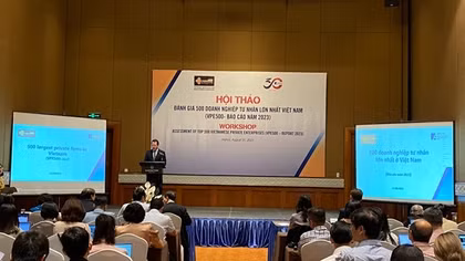 Cần chính sách khuyến khích các doanh nghiệp tư nhân "đầu đàn"