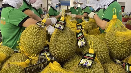 Gỡ điểm “nghẽn” trong xuất khẩu nông sản
