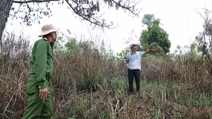 Khởi tố nguyên Trưởng phòng TNMT huyện Bảo Lâm