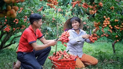 Nhiều cơ hội xuất khẩu qua thương mại điện tử xuyên biên giới