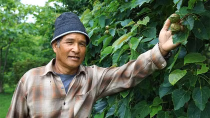 “Người đuổi gió” trên đỉnh Cu Vơ